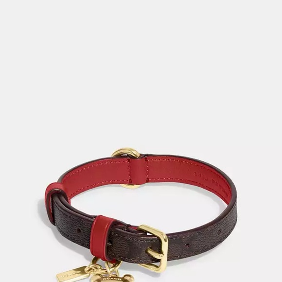 Coach dog leash and collar for small dog set - Picture 3 of 7